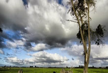 开云体育-国足轻取意大利队1:3，哈兰德补时绝平亚洲杯