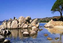 开云体育入口-100T轻取LGD，Chovy打出惊人五杀半决赛3:0