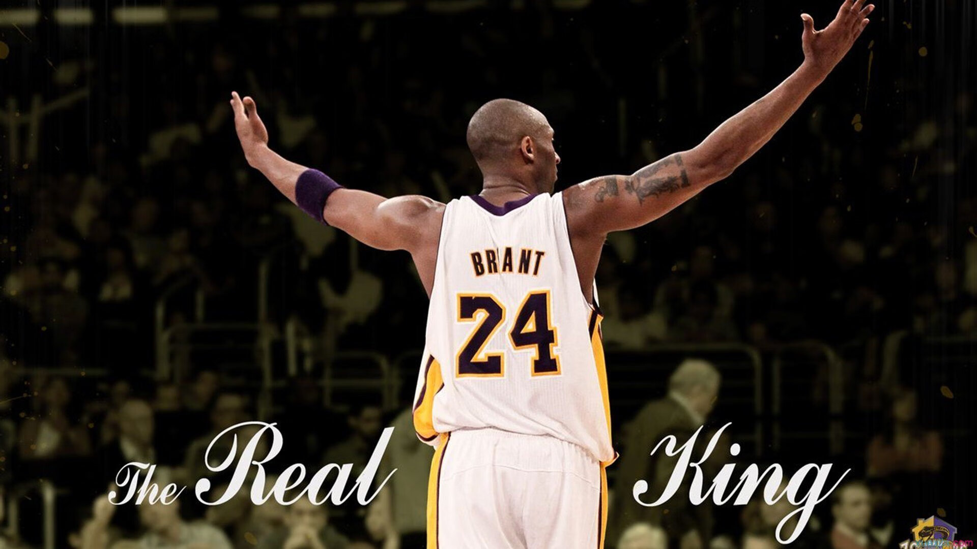 绝杀与接管，当掘金遇见布克，跨越时空的胜利者基因